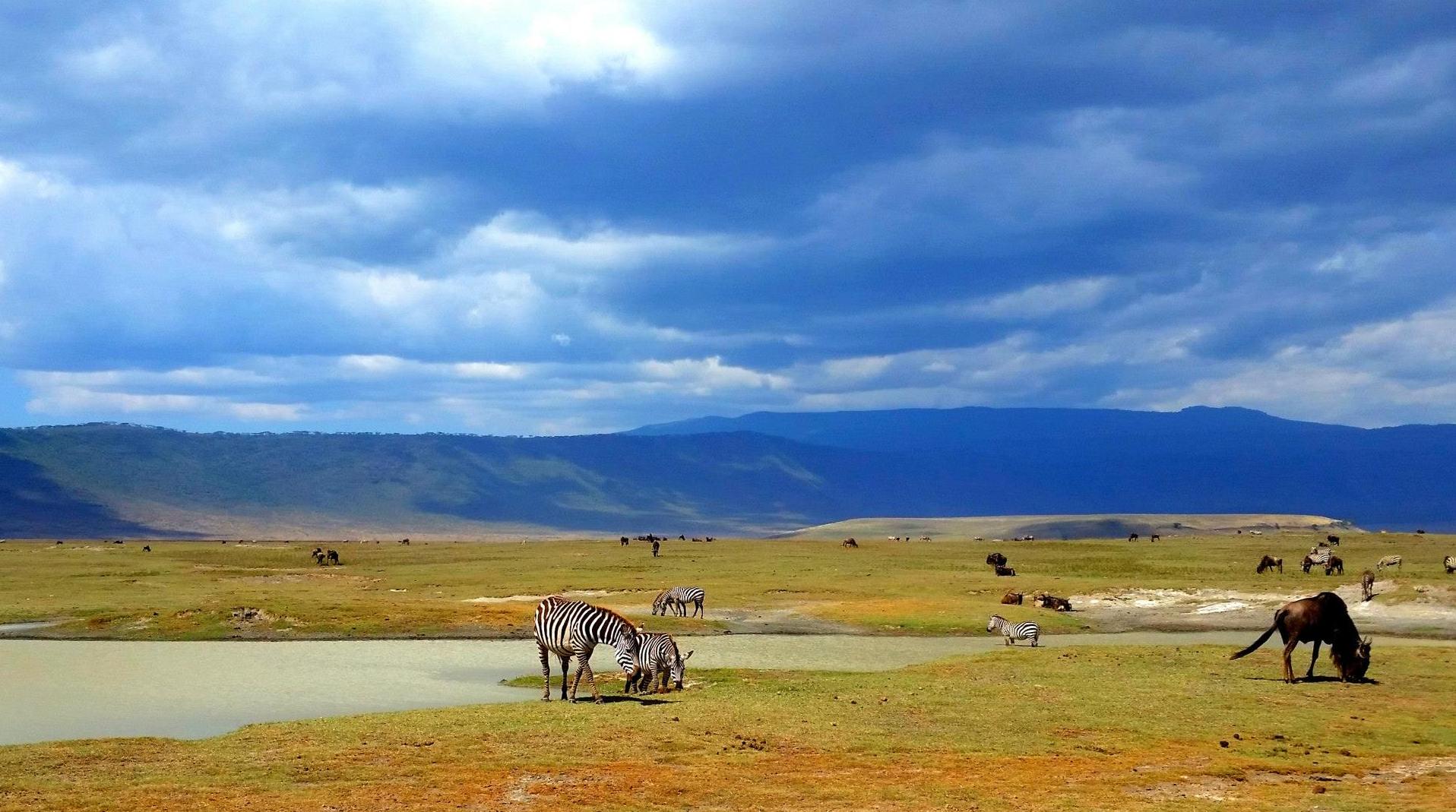 Ngorogoro Crater in Norther Tanzania Ngorogoro Crater in Northern Tanzania