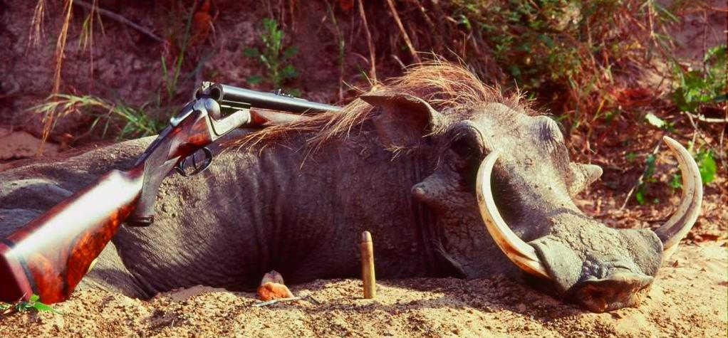 Warthog Warthog