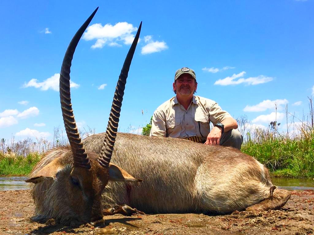 Waterbuck next to the Mbaran'gandu river Waterbuck next to the Mbaran'gandu river