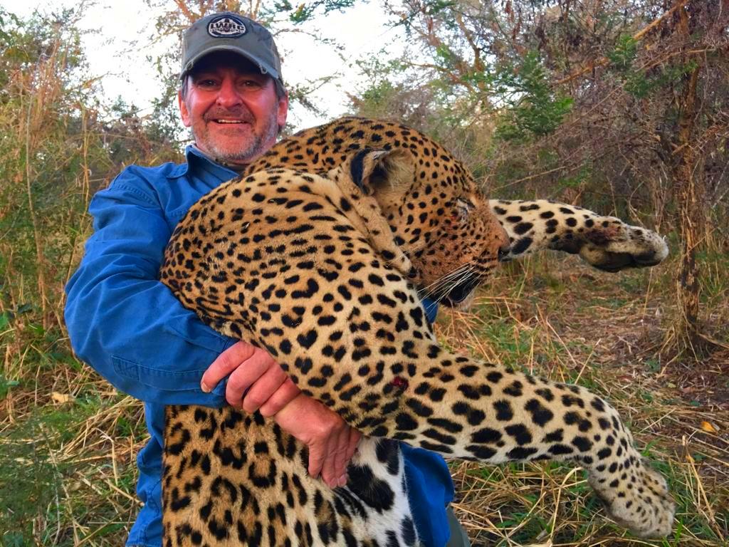 Mature Male Leopard Mature Male Leopard